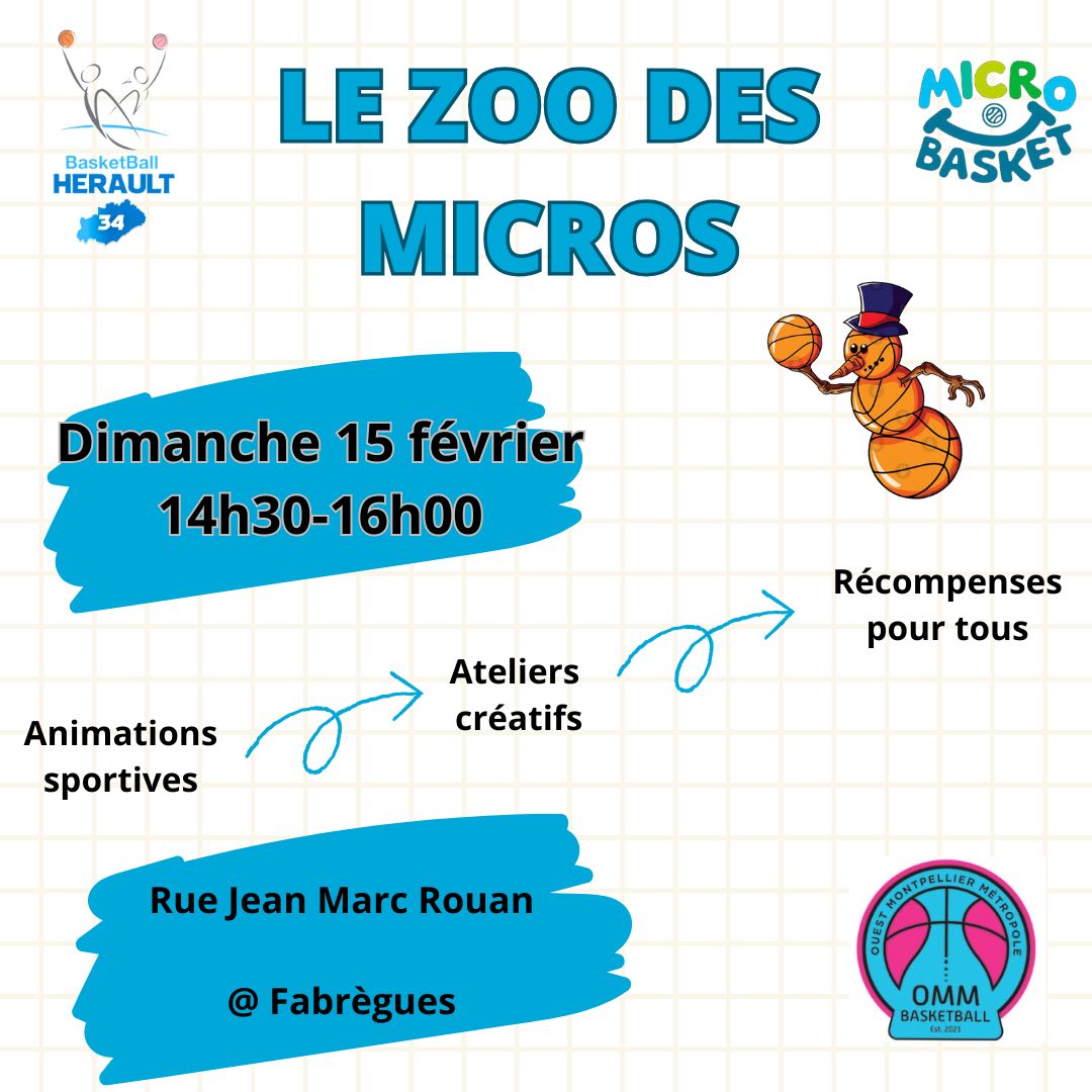 Prochain rassemblement de Microbasket "Zoo des Micros" organisé par le CD34