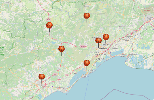 Carte des clubs où exercer le Basket Santé